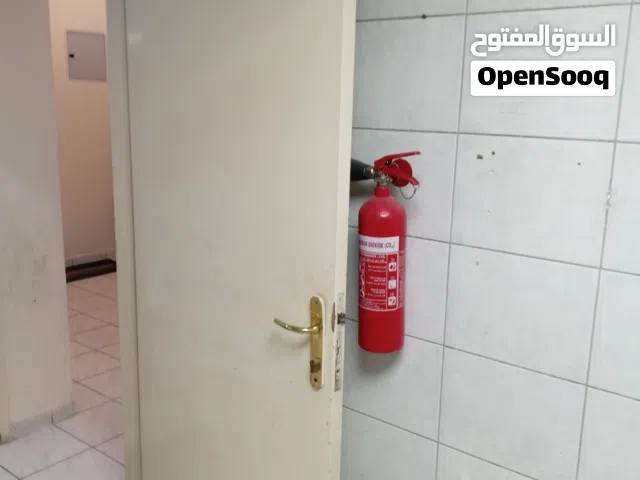 I'm selling a set of 800 pieces of white interior wooden doors. Each door is priced at just 39 AED,