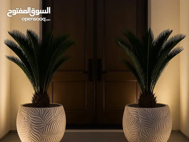 أشجار وقوارير مودرن