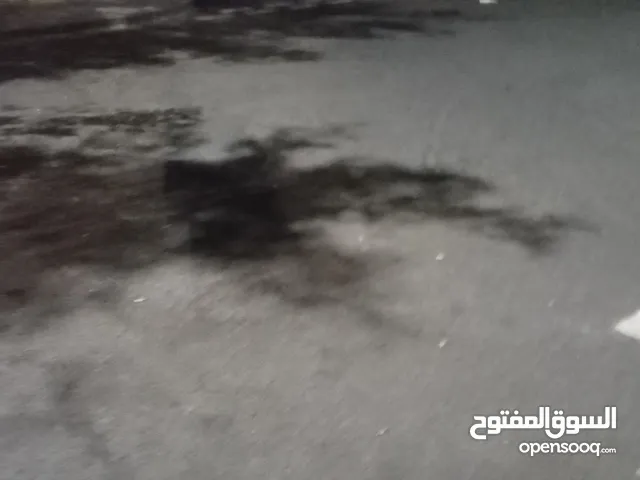 الريان/السيلية: للبيع أرض سعر جدا منخفض ويمكن استغلال الفرصة وشراء الأرض بسعر لقطة مساحتها 62,786متر