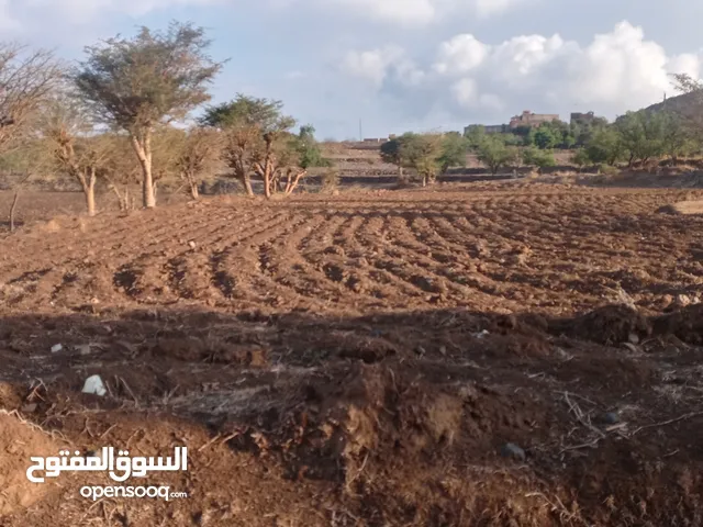 Farm Land for Sale in Sana'a Sabaha