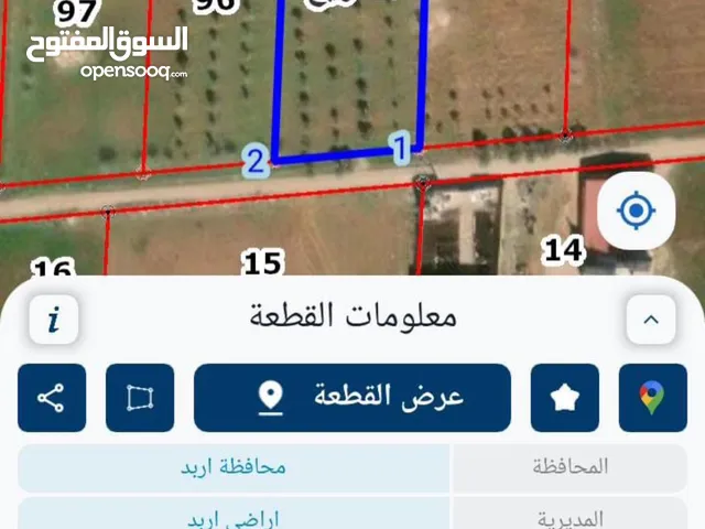 Farm Land for Sale in Irbid Al Sareeh