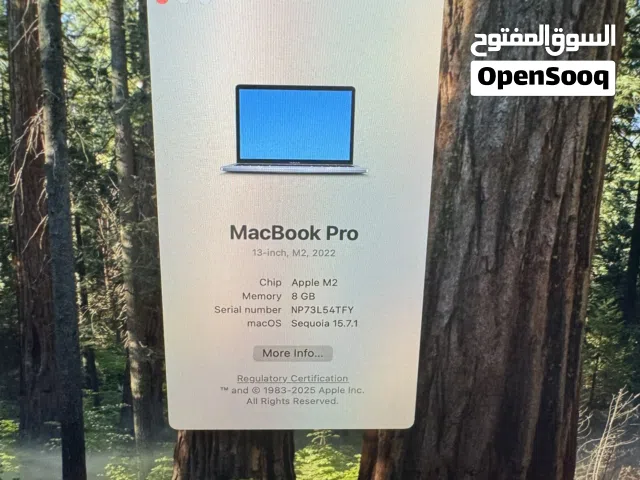 2022 MacBook Pro 13-inch, M2