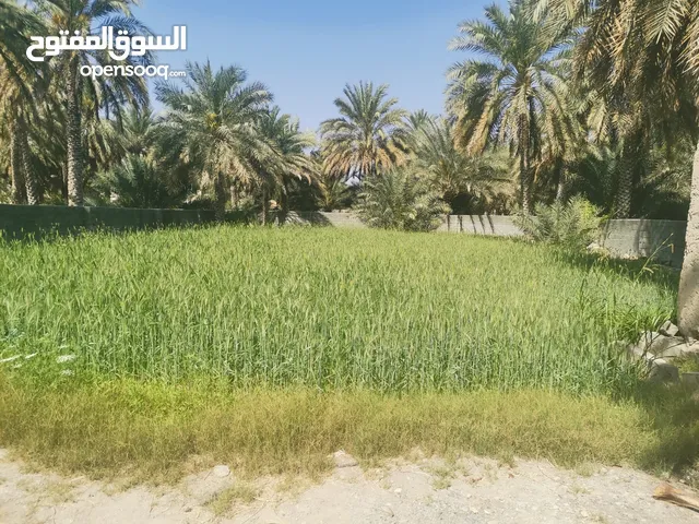 Farm Land for Sale in Al Dakhiliya Manah
