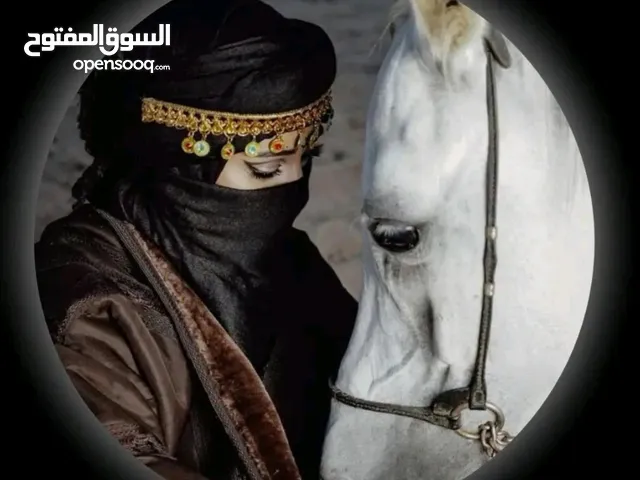عيسى حساسنه