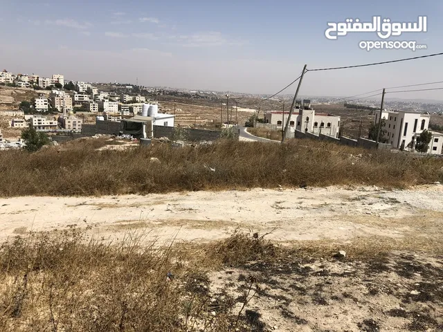 Mixed Use Land for Sale in Hebron Dura