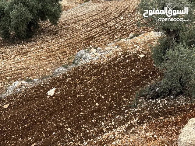 ارض للبيع بمواصفات خيالية