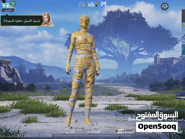 Pubg Accounts and Characters for Sale in Ajman
