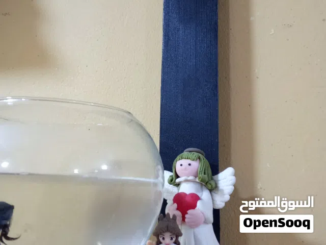 قواوير أسماك زينه حجم كبير