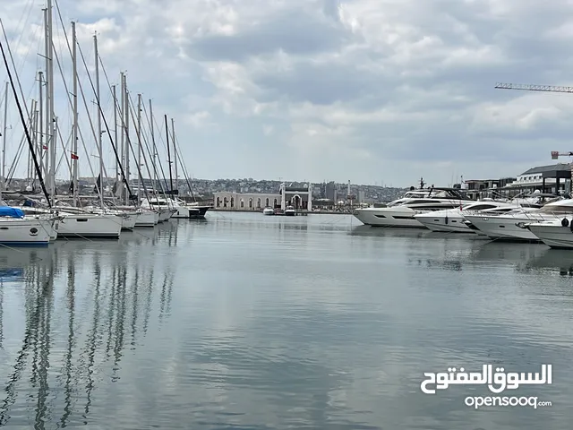 فادي .و