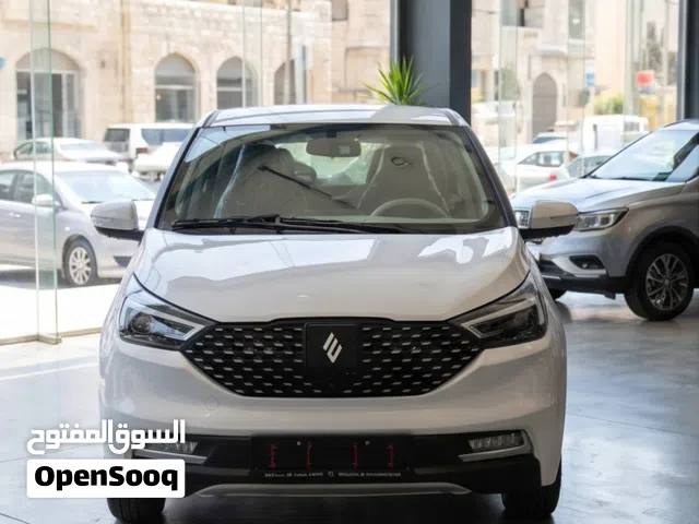 2026 JMEV EV3
