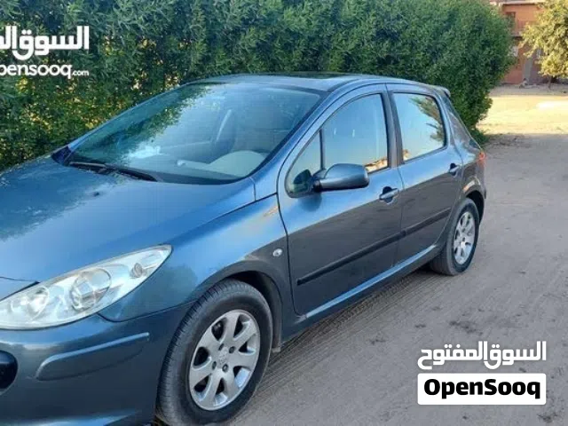 2007 Peugeot 307 Standard