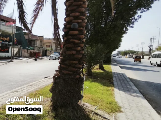 للايجار طابقين 320 متر على شارع السايدين مباشرة. مقابل مديرية تربية البصرة. بداية المعقل/الاندلس