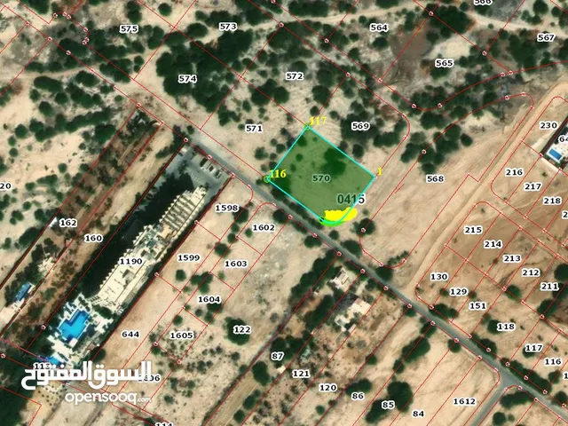 قطعة أرض في أجمل مناطق السويمة مقابل فندق رمادا
