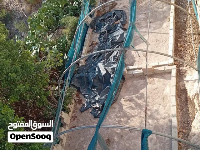 بيت بلاستك حديد مقلفن