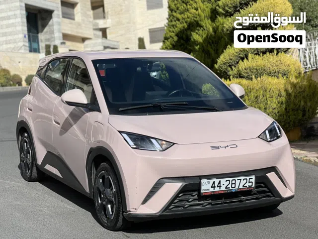 2023, بي واي دي, سيجول