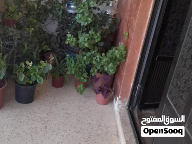  Building for Sale in Ajloun E'in Jana