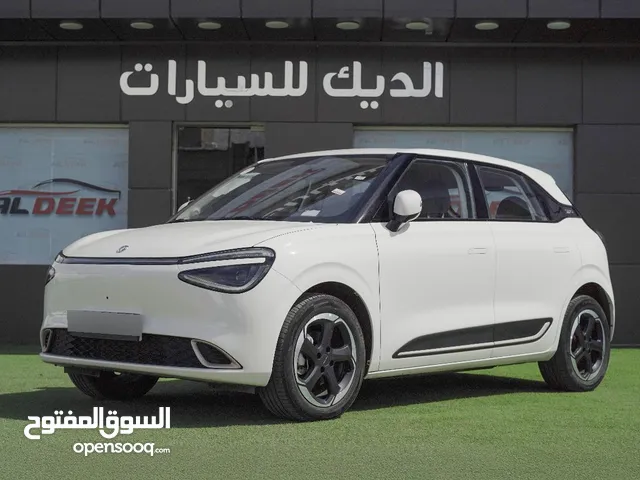 Dongfeng NAMMI BOX 2023