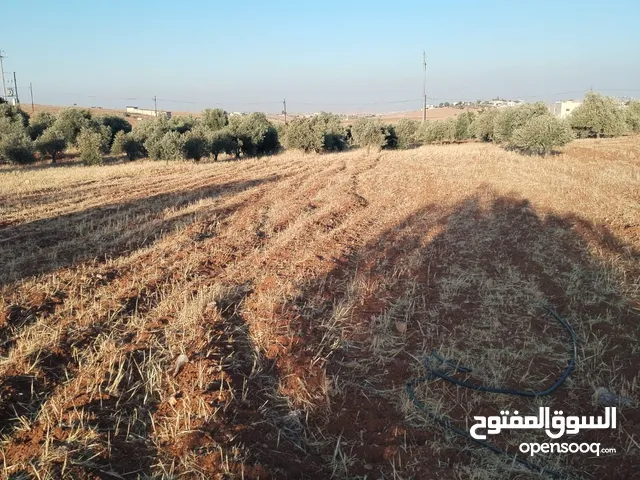 مزرعه مساحه 3400 م للبيع مفروز قوشان مستقل رحاب بالقرب من طريق اربد الزرقاء واصل جميع الخدمات