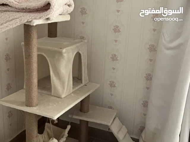 Kittens and cats house with FREE litter box بيت للقطط مع ليتر بوكس مجاني