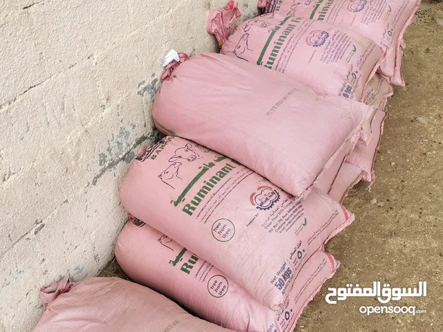 سماد جعد للبيع صافي ونظيف 63 جونيه اوصل وفالك طيب