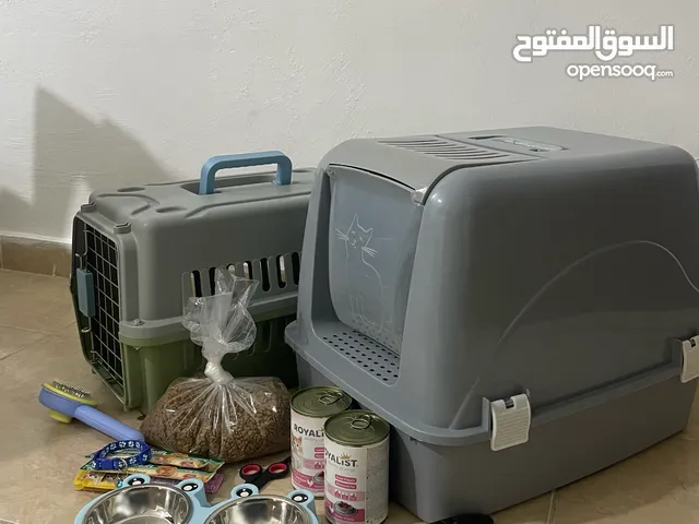 مستلزمات قطط