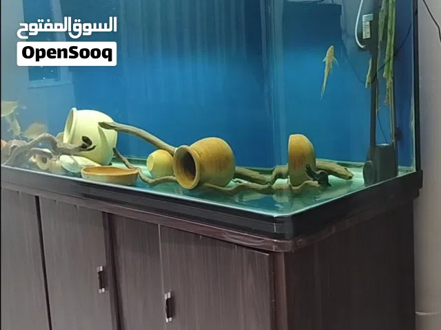 حوض سمك أجنبي مترين بحالة الوكاله للبيع