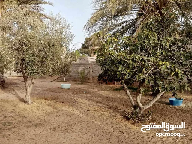 Residential Land for Sale in Tripoli Tajura