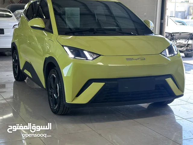 Used BYD Seagull in Zarqa