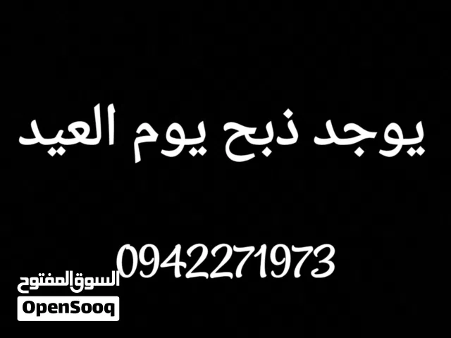 بسم الله يوجد ذبح يوم العيد