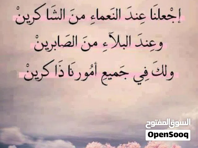 صلاح الدين حي الزهور