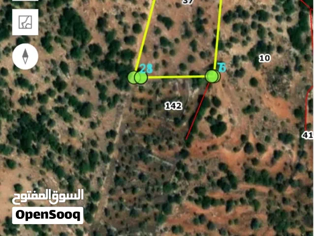 Farm Land for Sale in Ajloun Other