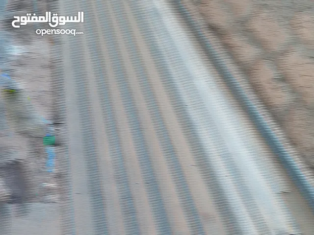 زينجو مستعمل استعمال نظيف