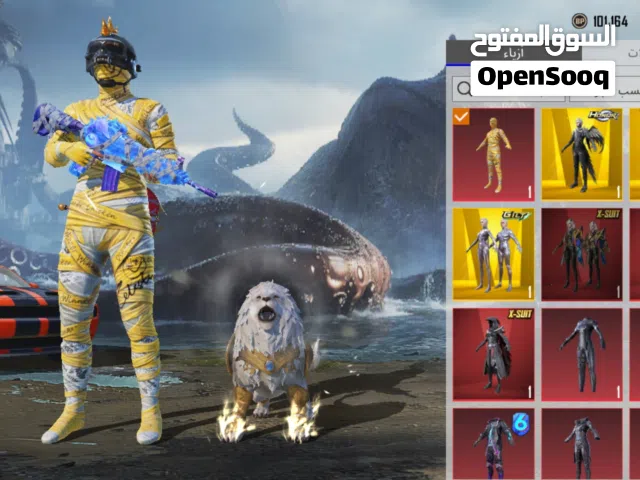 Pubg Accounts and Characters for Sale in Sana'a