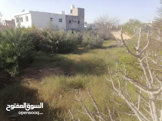 Mosque Land for Rent in Tripoli Wadi Al-Rabi