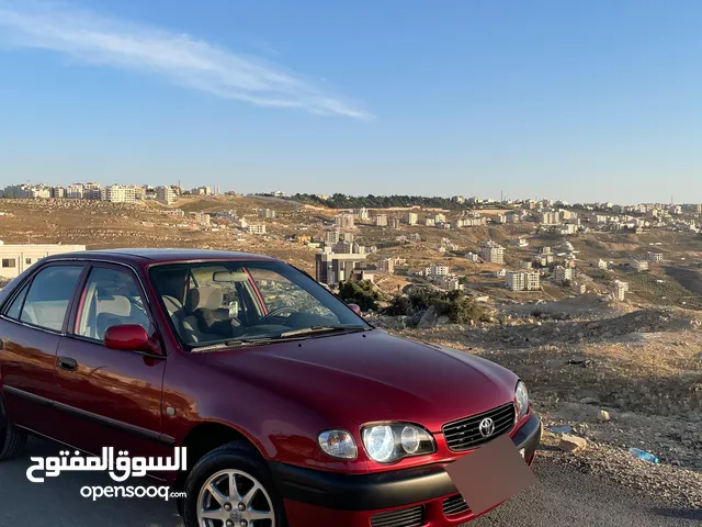 Used Toyota Corolla in Amman