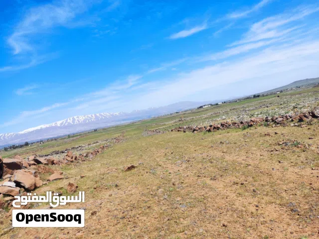 Farm Land for Sale in Rif Dimashq Other