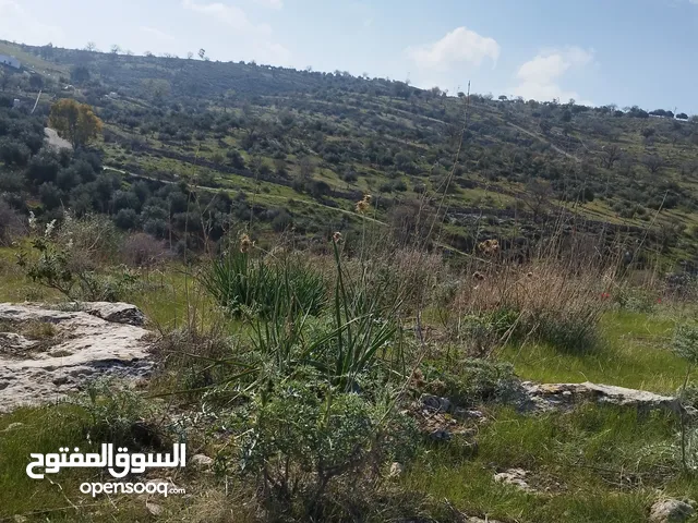 Farm Land for Sale in Salt Al Balqa'