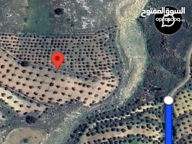 Residential Land for Sale in Salt Al Balqa'