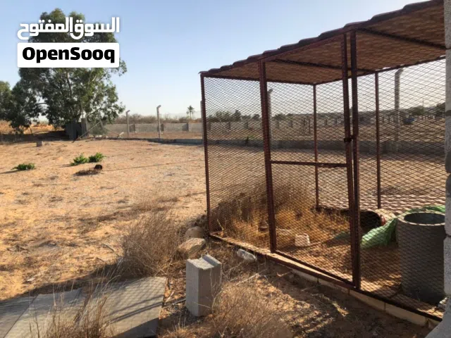 Residential Land for Sale in Tripoli Tajura