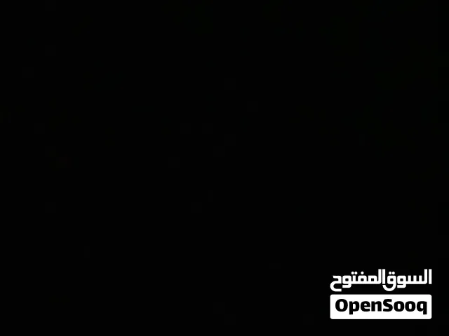 مطلوب انثى قط للتبني