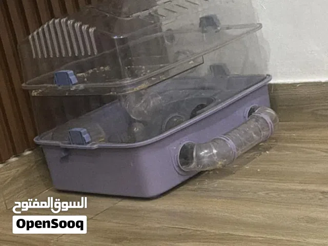 همستر......