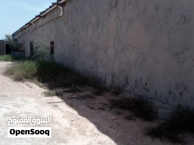 قطعة ارض عليها 2 حظائر دجاج للبيع في كعام