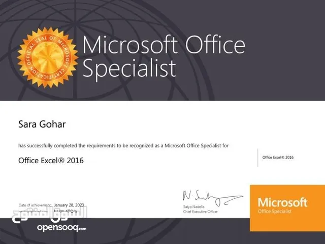 Microsoft Certified trainer. Microsoft Excel advance. Powerpoint and Ms word