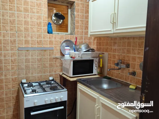 furnished house for rent
