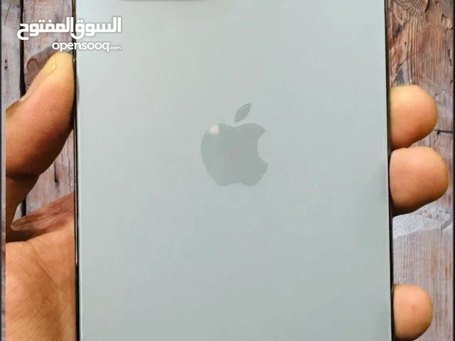 iPhone 13 Pro Max 256GB
