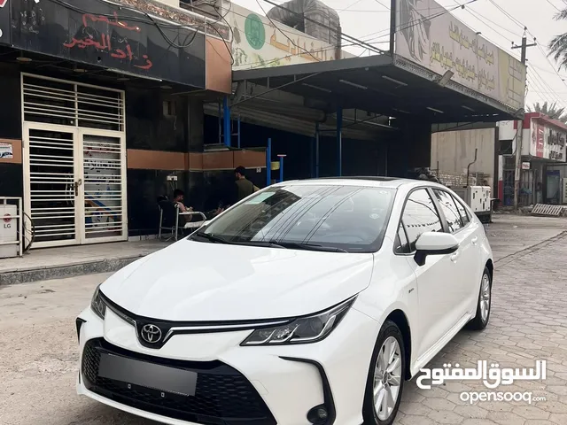 كورولا 2024 هايبرد