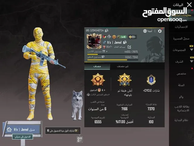 Pubg Accounts and Characters for Sale in Madaba