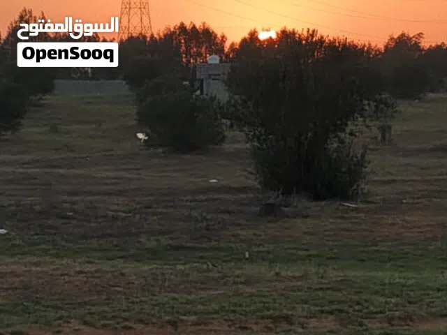قطعة ارض للبيع