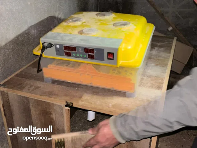 فقاسه 60 بيضه وحاضنه تسع 200 صوص