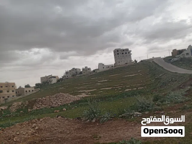 Residential Land for Sale in Amman Abu Alanda